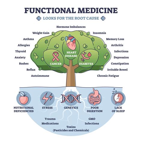 Function Health Cost