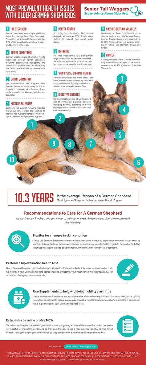 German Shepherd Cancer