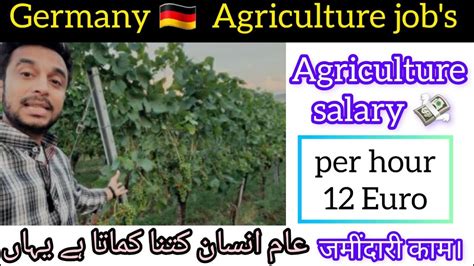 Germany Fruit Agriculture Job S And Salary Germany Seasonal Job S German