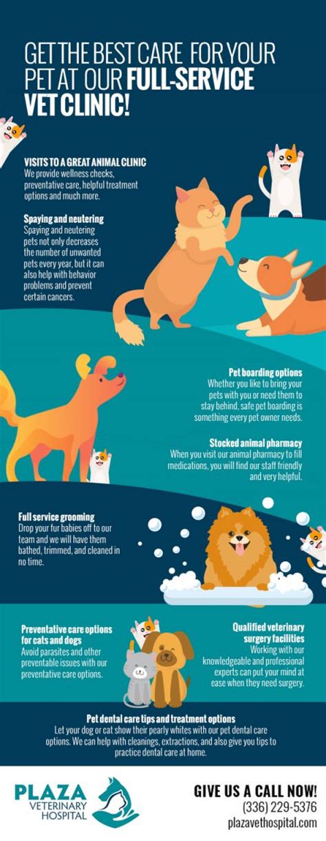 Get The Best Care For Your Pet At Our Full Service Vet Clinic Infographic Plaza Veterinary Hospital