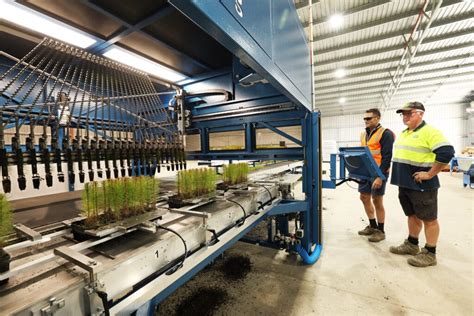 Glencoe Web Nursery