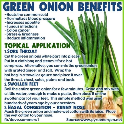 Green Onion Benefits For Skin