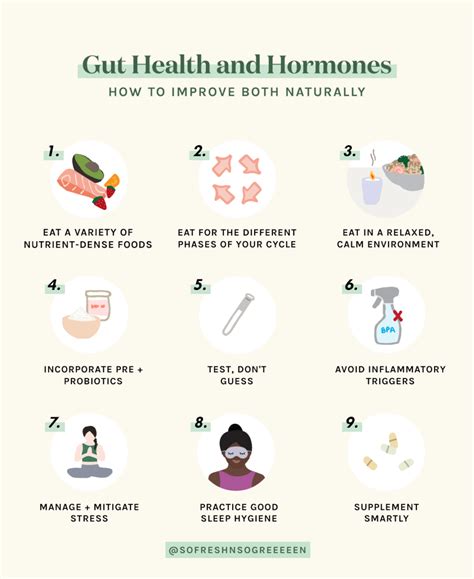 Gut Health And Female Hormones