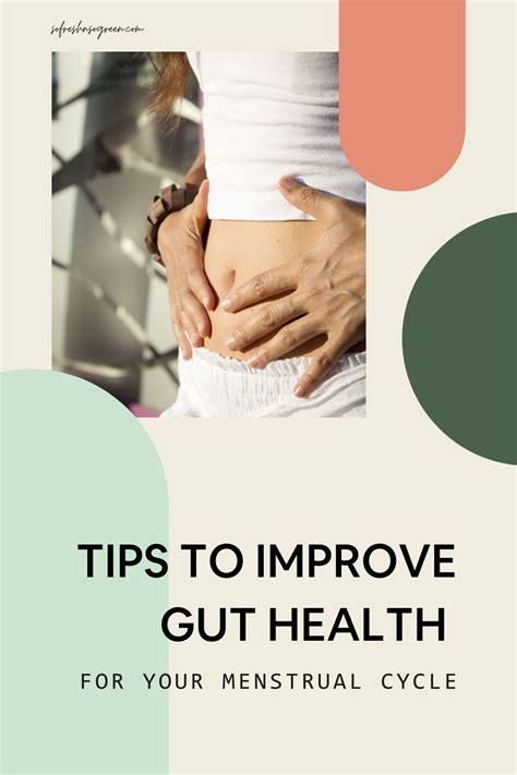 Gut Health And Hormones How To Improve Both Naturally For A