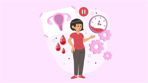 Gut Health And Menstruation