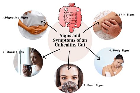 Gut Health And Skin Problems