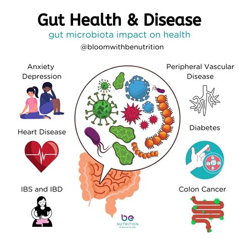 Gut Health Chronic Disease Why You Should Care About Your Gut Be