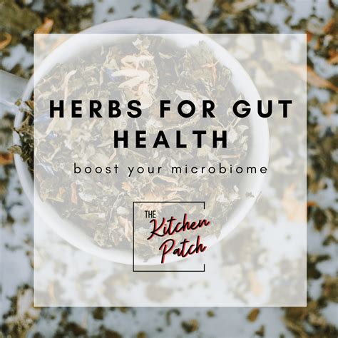 Gut Health Herbs