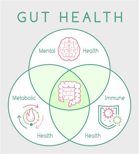 Gut Health Research Articles