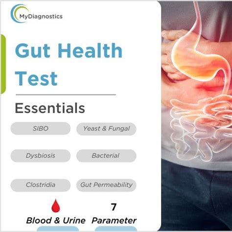 Gut Health Test