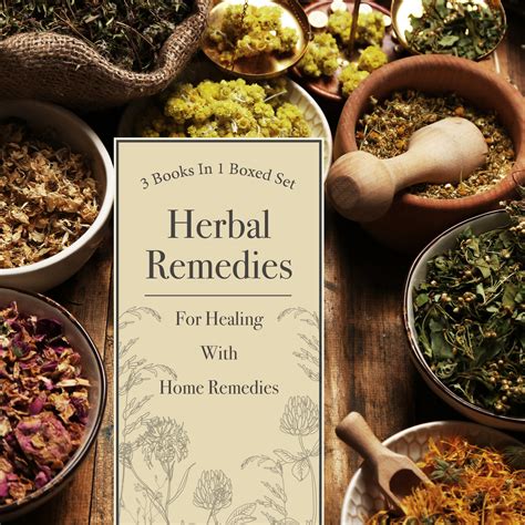 Healing With Herbal Remedies Book