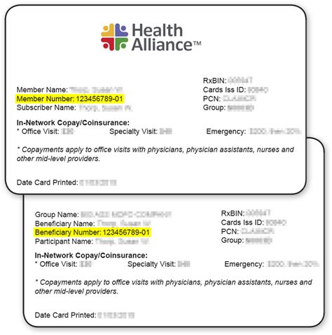 Illinois Health Alliance Insurance Options