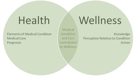 Health And Wellness Defination