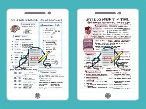 Health Assessment Nursing Study Guide