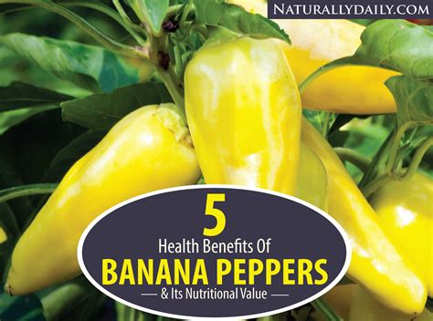 Banana Peppers Health Benefits