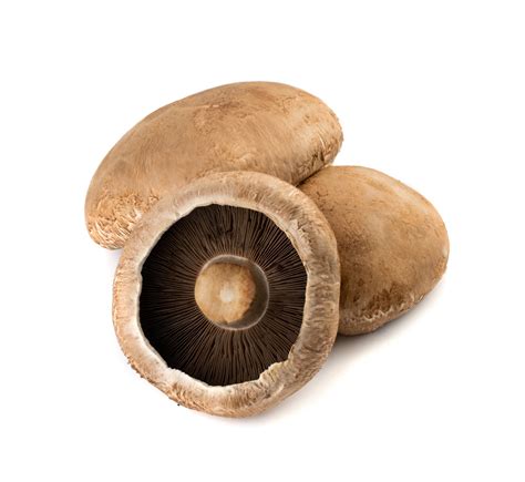 Health Benefits Portabella Mushrooms