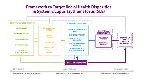 Health Disparities In Lupus