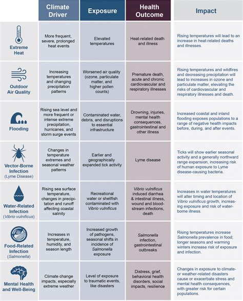 Health Effects Examples