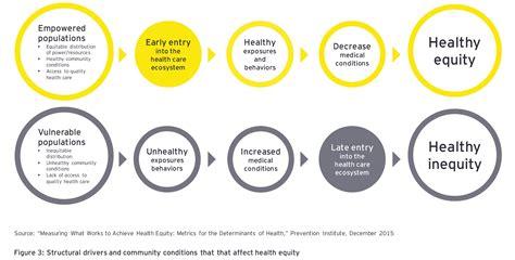 Health Equity Initiative Malaysia