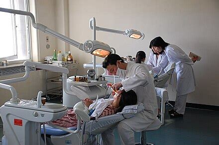 Health In North Korea Wikipedia