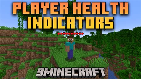 Health Indicator Mod 1 16 5 Forge