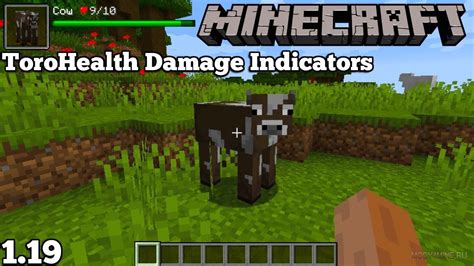 Health Indicator Mod Minecraft Toro