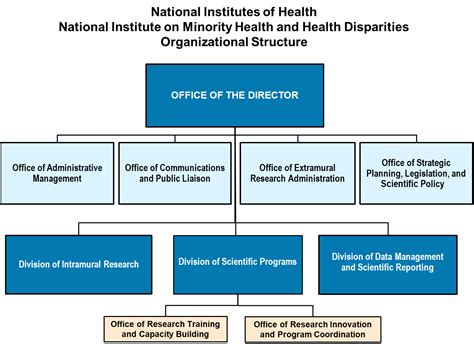 Health Informatics Nih