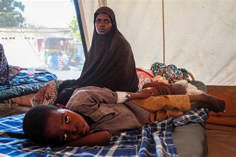 Health Infrastructure Needed Borno State Msf Southern Africa