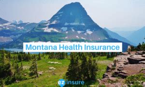 Montana Health Insurance Options