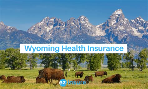 5 Tips Wyoming Health Insurance