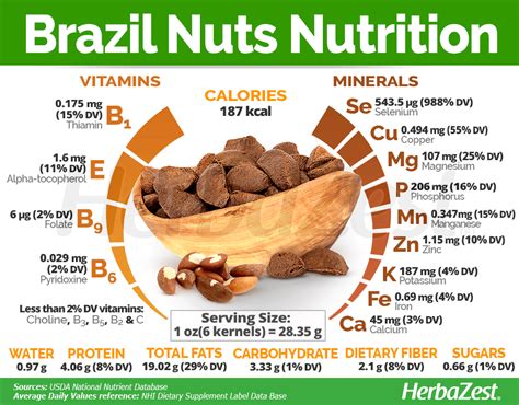 Health Nut Nutrition Amazon