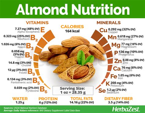 Health Nut Nutrition Guide