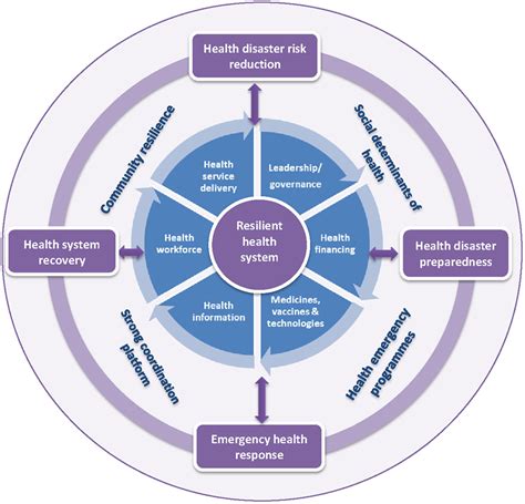 Health System Who Framework