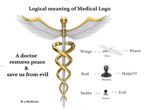 Healthcare Logo Meaning