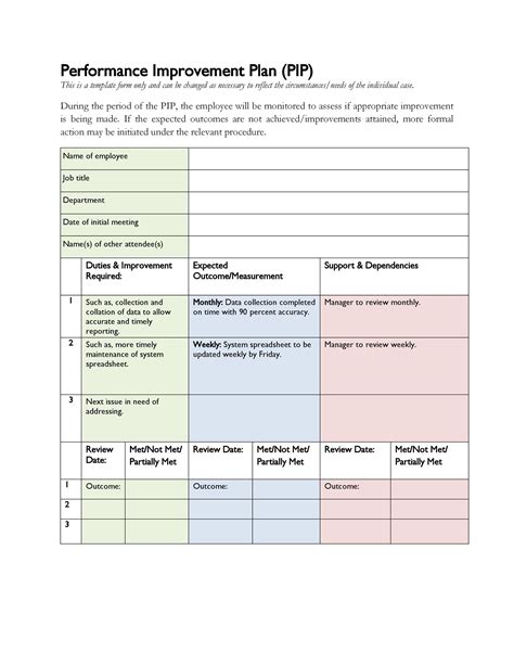 Healthcare Performance Improvement Plan