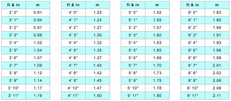 Height From Feet To Meters