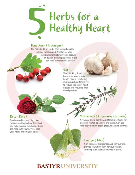 Herbs For Heart Health Pdf