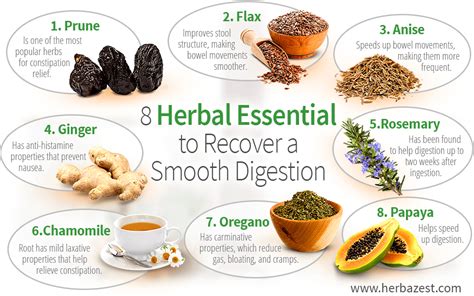 Herbs That Help With Digestion