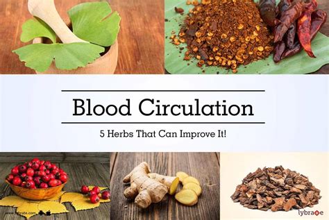 Herbs That Increase Blood Flow