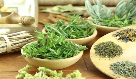 Herbs That Relax Blood Vessels