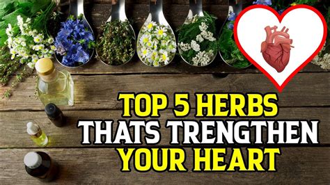 Herbs To Strengthen Heart Muscle