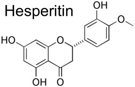 Hesperidin Brain