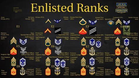 5 Military Branch Ranks