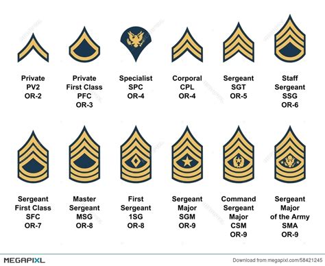 Highest Enlisted Rank In Army