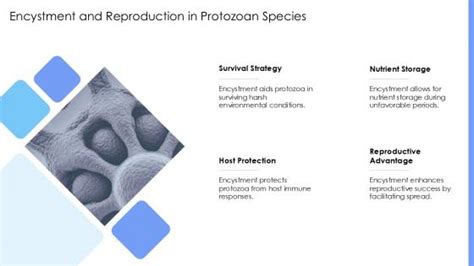 Homeopathic Approaches To Treatment Protozoa Natural Ppt Demonstration Acp Ppt Example