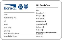 Horizon Nj Family Care Providers