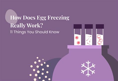 How Does Eggs Freezing Really Work 11 Things To Know Dr Tanya Williams