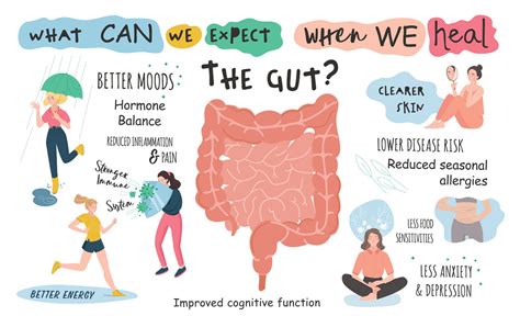 How Gut Health Affects Everything