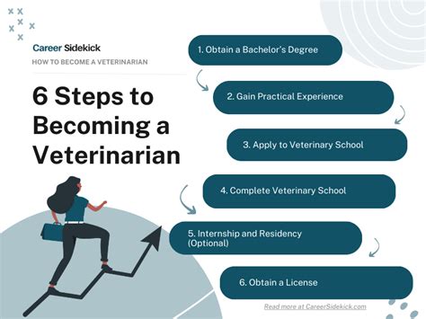 How To Become A Veterinarian