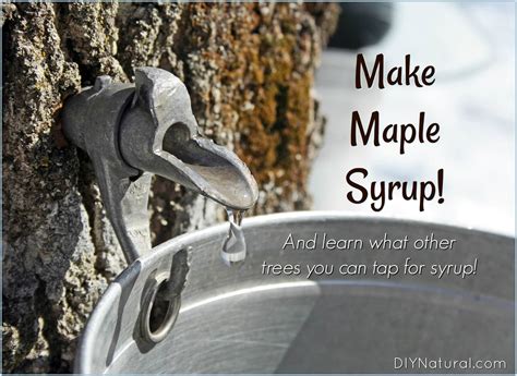 How To Make Maple Water